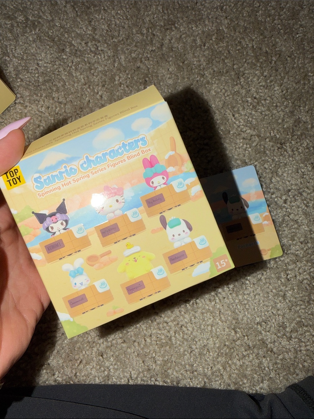 Sanrio Characters Blind Box HOT SPRINGS - POCHACCO CONFIRMED